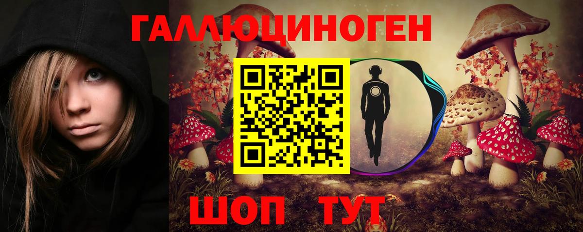 Псилоцибиновые грибы Psilocybe Кинель